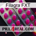 Filagra FXT 10